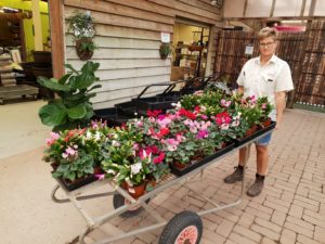 Read more about the article How Gardening Can Reduce Stress
