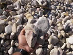 Sandstone Tumbled 50-100mm – 1 cub mtr