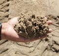 Bedding Sand (1m)
