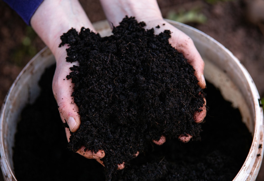You are currently viewing How To Choose The Right Soil For Your Garden